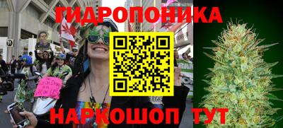 синтетический гашиш Будённовск
